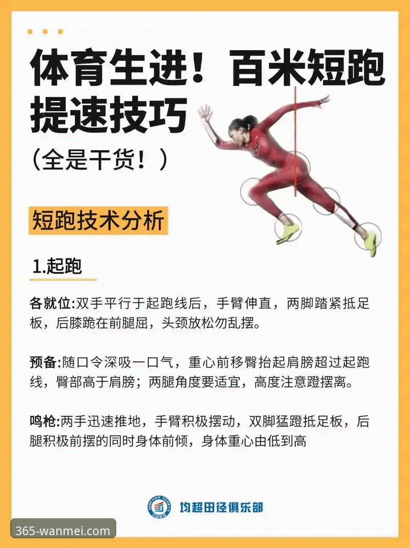 完美体育365wm更新后如何快速上手？实战派教你三分钟搞定